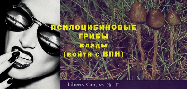 дживик Алзамай