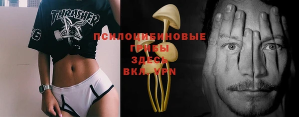 apvp Абинск