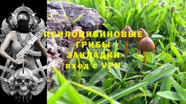 apvp Абинск