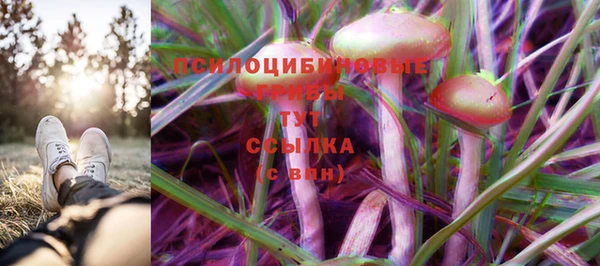 прущие крисы Алексеевка