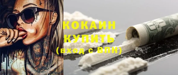 молекула духа Алексин