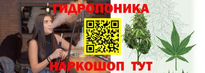 стаф Краснознаменск