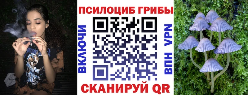 кракен ТОР Дубна Галлюциногенные грибы ЛСД