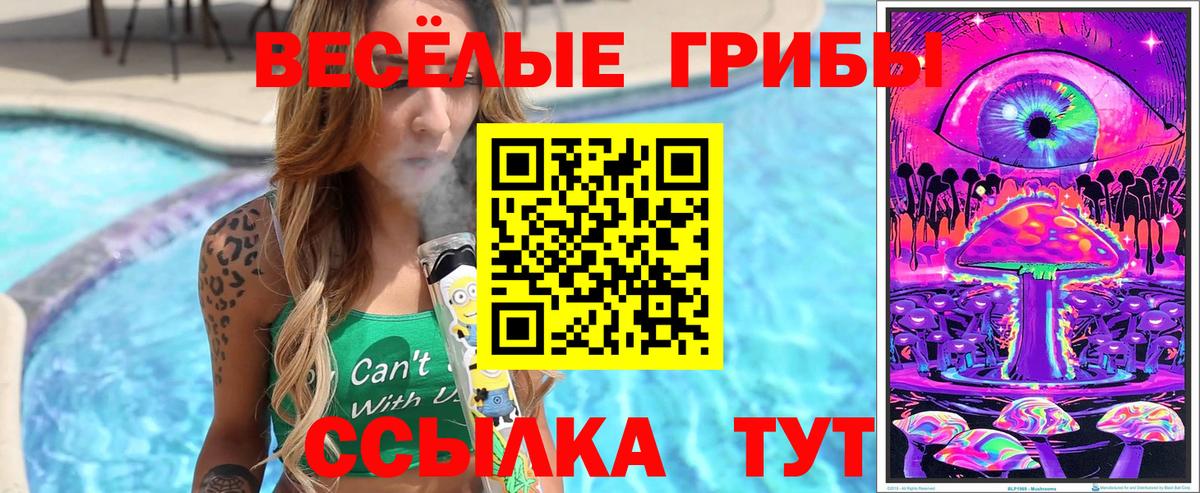 Дубна  Галлюциногенные грибы ЛСД  Вход с VPN 