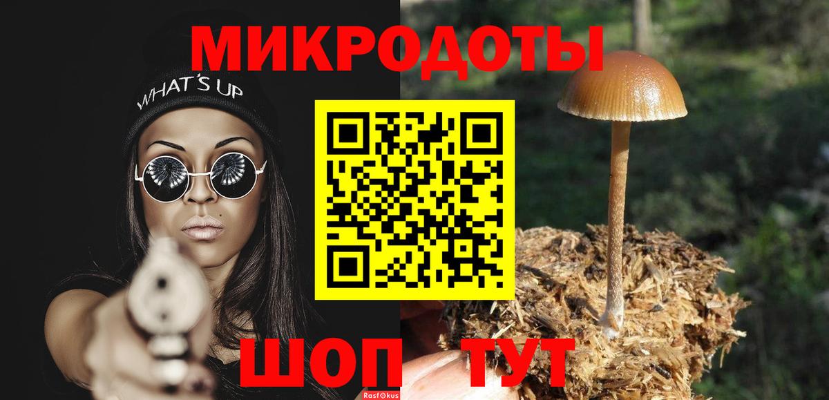 Псилоцибиновые грибы ЛСД Дубна